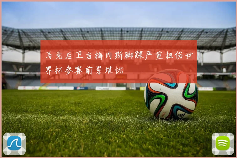 马竞后卫吉梅内斯脚踝严重扭伤世界杯参赛前景堪忧