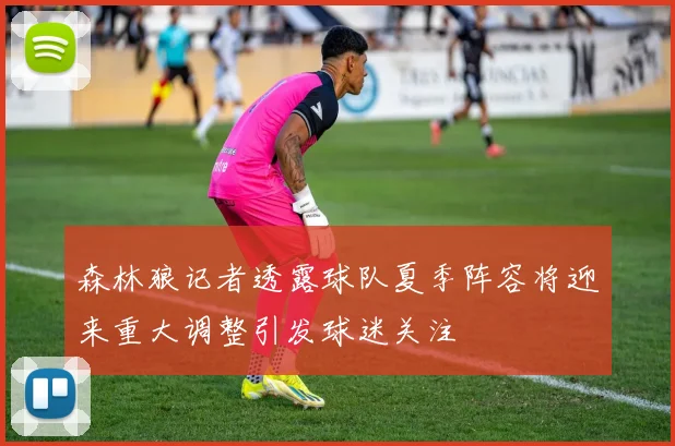 森林狼记者透露球队夏季阵容将迎来重大调整引发球迷关注